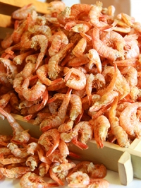 두절건새우(대)1kg