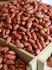 볶음땅콩1kg(중국산)