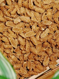 커피너트 1kg(중국산)