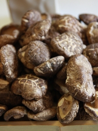 표고버섯1kg(중국산)