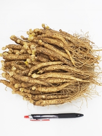 수삼(2년근소삼) 미삼 1KG