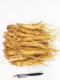 수삼(4년근.대삼) 1KG