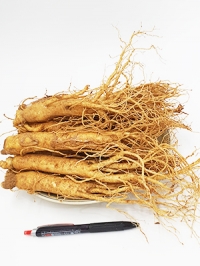 수삼(5년근) 대삼 1KG